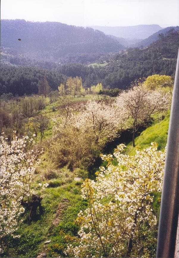 Adembenemend uitzicht