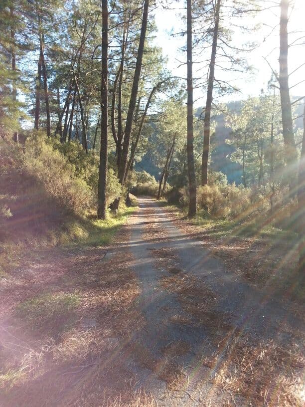 Wandelen 1